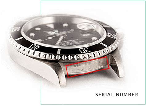 rolex serial number lookup 2022.